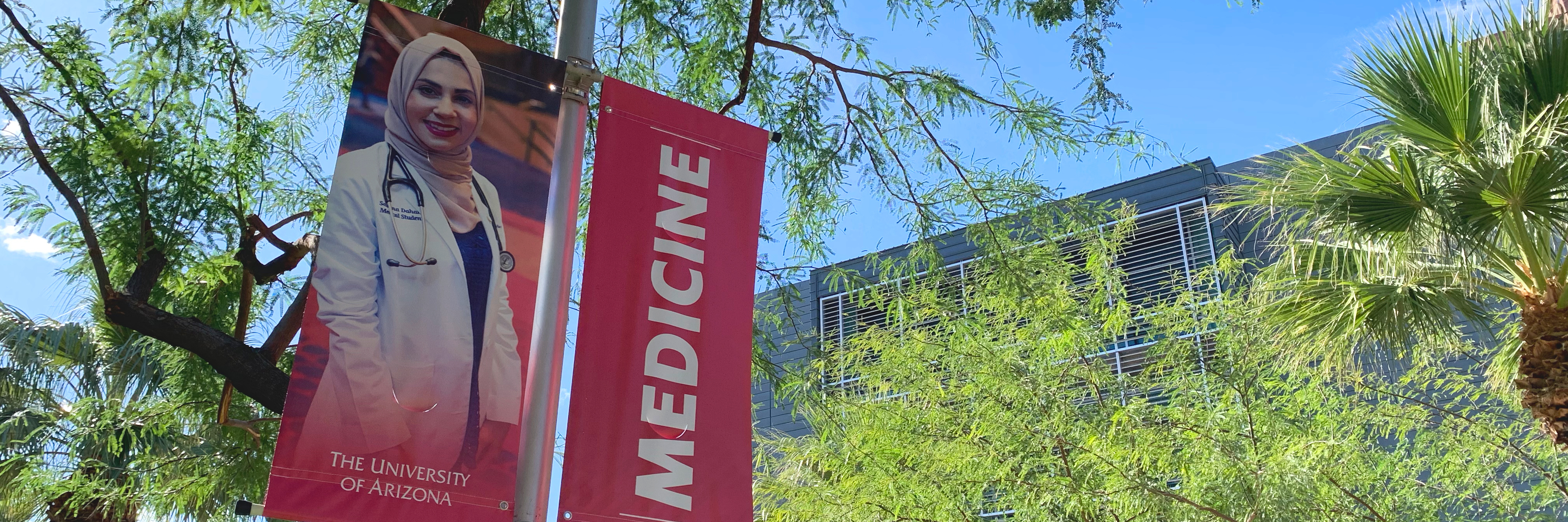 Uarizona Fights Doctor Shortage With Free Tuition Chamber