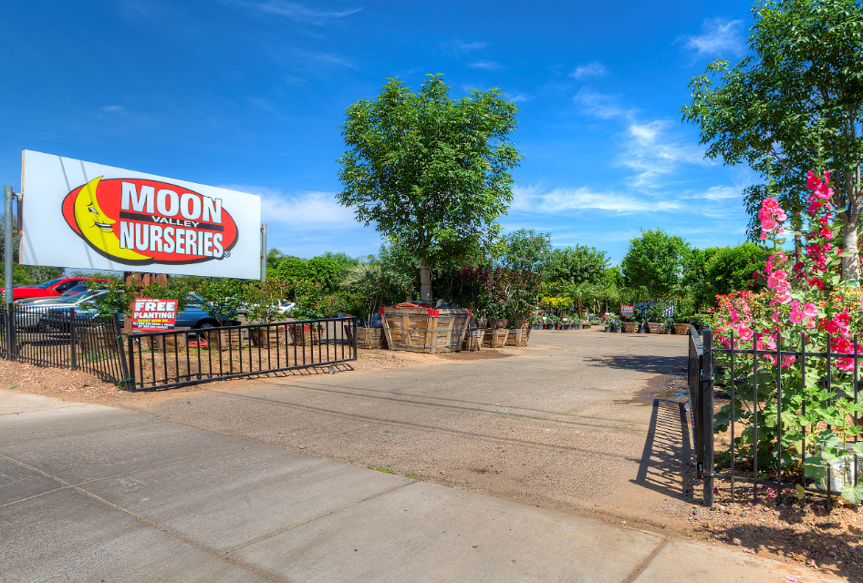 Moon Valley Nursery Lawsuit