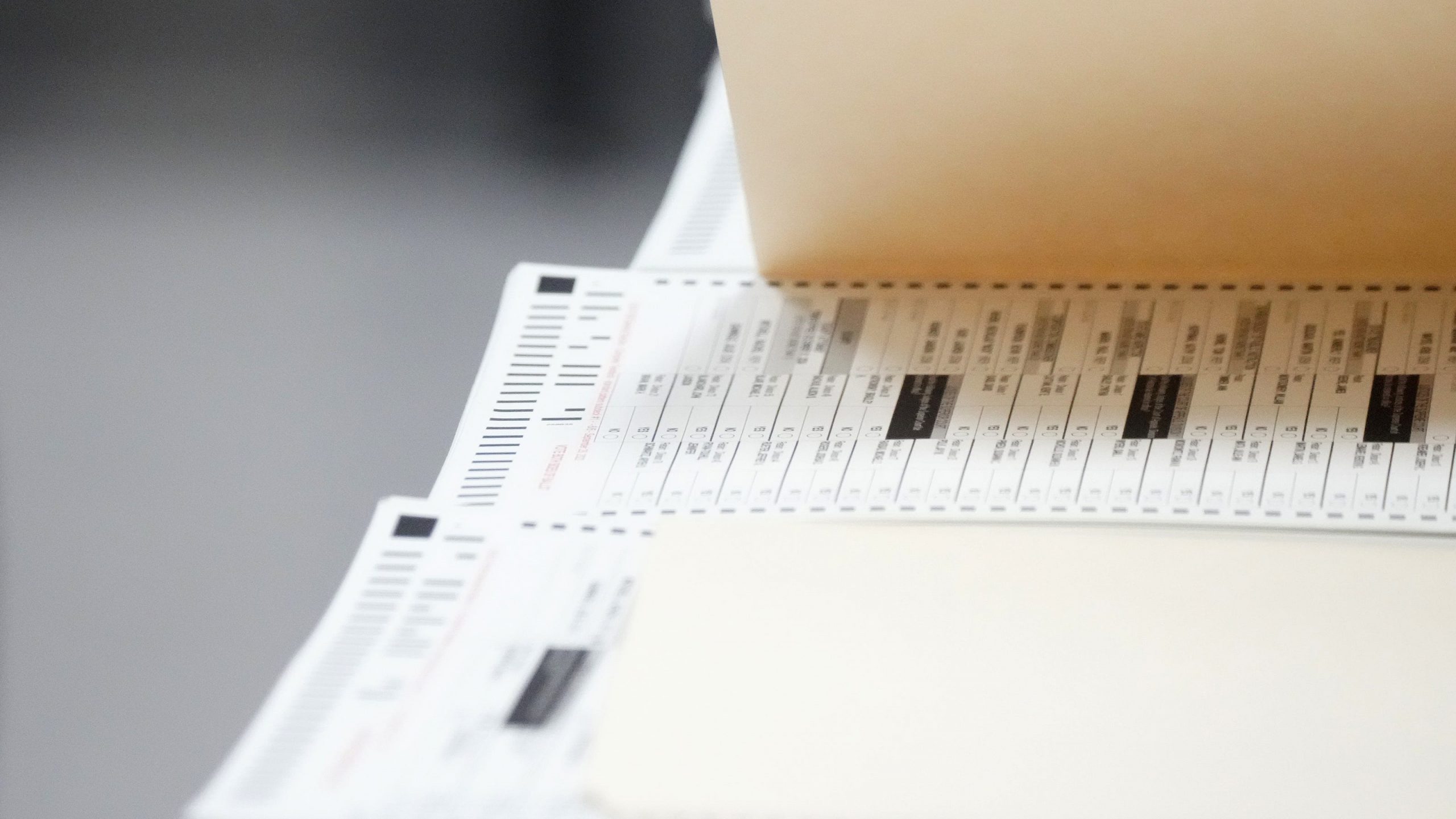Voters to weigh in on at least four ballot questions in 2024, more  potentially to come - Chamber Business News